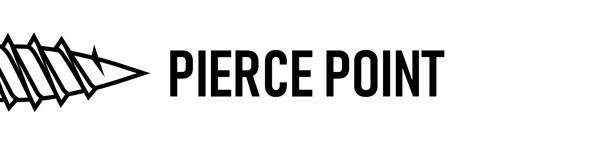 Slotted Hex Washer Head Pierce with Bonded Washer